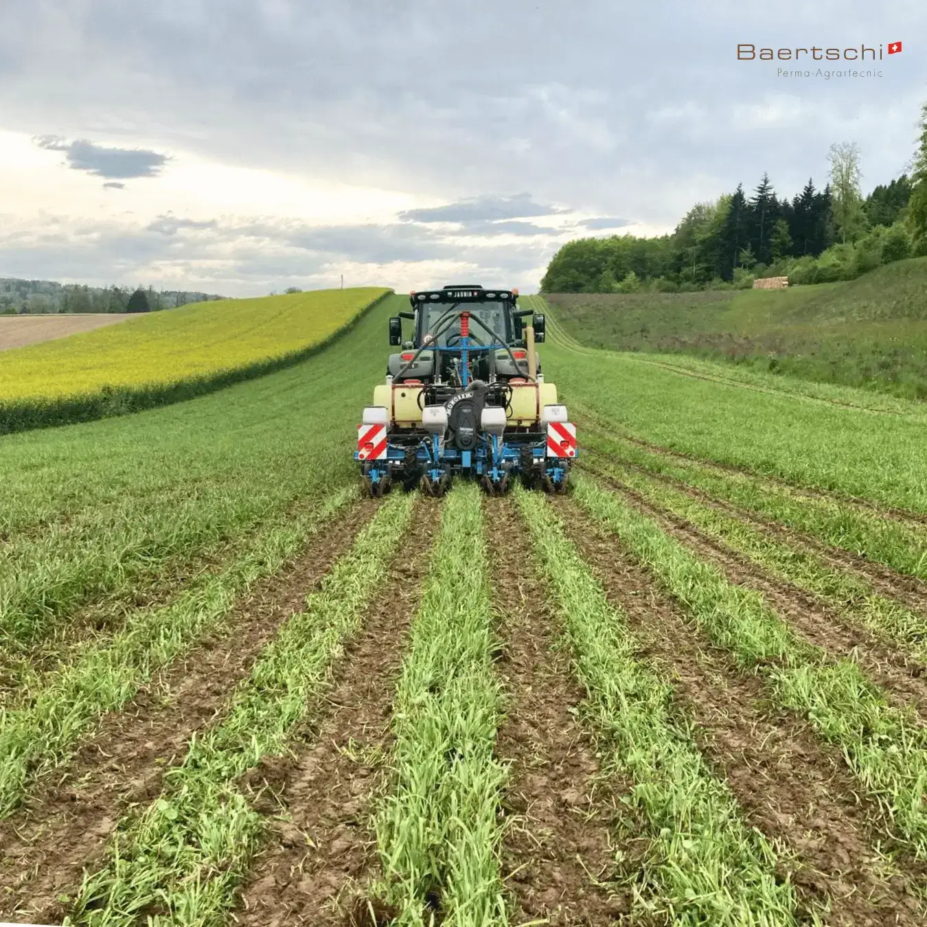 Oekosem-Rotor-Strip-till-4R700_3